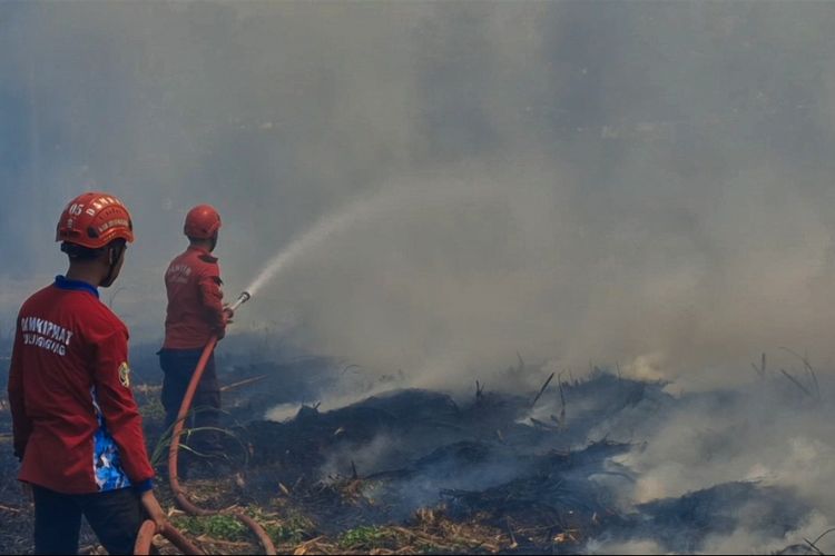 Dalam Sehari, Damkar Tulungagung Terima 8 Laporan Kebakaran, 6 Kejadian Ditangani