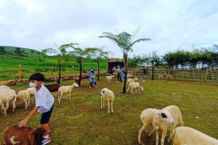 Menggala Ranch merupakan obyek wisata alam yang berada di Desa Karangtengah, Kecamatan Cilongok, Kabupaten Banyumas. 