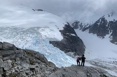 Angkot di Bogor Tertimpa Pohon Tumbang hingga Ringsek, Tak Ada Korban Jiwa