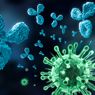Kasus Mutasi Virus Corona E484K 'Eek' Ditemukan di Jakarta, Apa Itu?
