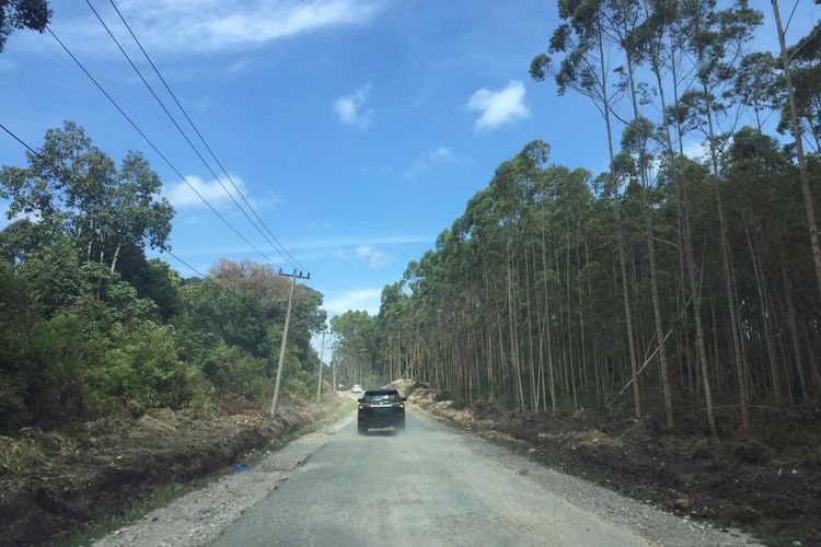 Kondisi jalan ring road Pulau Samosir pascakegiatan preservasi. Saat ini, mayoritas ruas jalan telah beraspal dan mengikuti standar ruas jalan nasional.