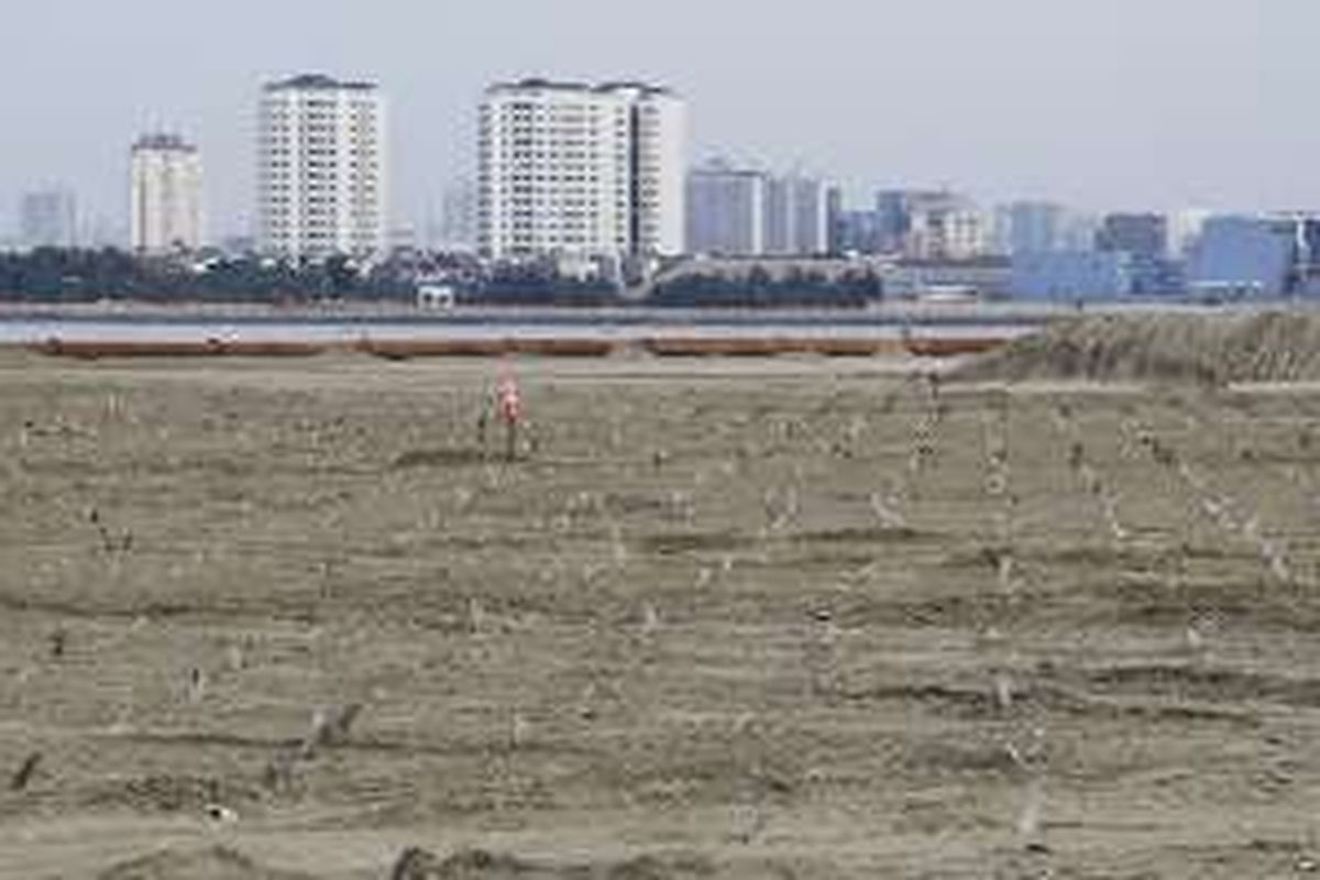 Suasana proyek pembangunan reklamasi Teluk Jakarta di kawasan Pantai Utara, Jakarta Utara, Rabu (11/5/2016). Kementerian Lingkungan Hidup dan Kehutanan menghentikan sementara proyek reklamasi Pulau C, D, dan G, lantaran dinilai melanggar izin dan perundang-undangan mengenai lingkungan hidup.