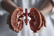 Vitamin Apa Saja yang Baik untuk Kesehatan Ginjal? Ini Kata Ahli