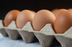 Kubur Telur di Lokasi Menanam Tanaman, Ini Manfaatnya