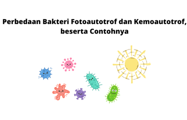 Jelaskan perbedaan antara bakteri fotoautotrof dan bakteri kemoautotrof, berilah contoh masing-masing!