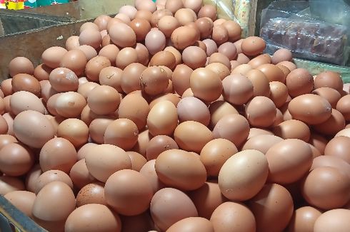 Berangsur Turun, Berikut Harga Telur Ayam Hari Ini di 30 Pasar Jakarta