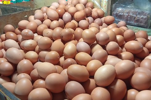 Update Daftar Harga Telur Ayam di 30 Pasar Jakarta