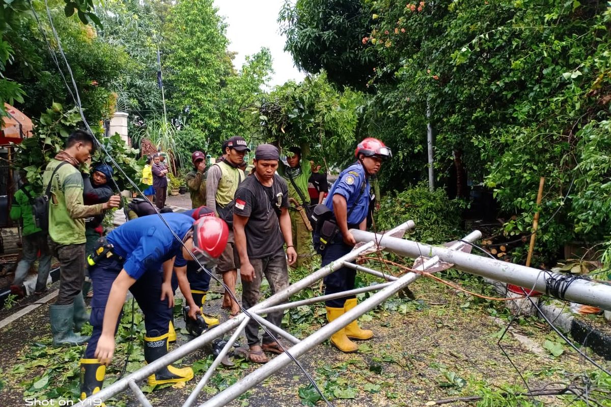 Sejumlah petugas merapikan lokasi tempat pohon tumbang di Jalan Tegal, Menteng, Jakarta Pusat, Sabtu (18/1/2020).