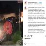 Toyota Avanza Tertabrak Kereta karena Mesin Mati di Perlintasan KA