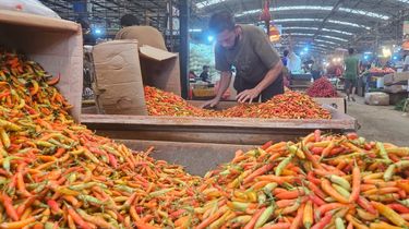 Harga Cabai Kompak Naik, Rawit Merah Tembus Rp 90.050 Per Kg