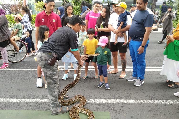 Beberapa pengunjung yang berinteraksi dengan Laksmi, sang ular sanca kembang saat di Car Free Day (CFD) Jalan Raya Darmo Surabaya, Minggu (1/6/2025).