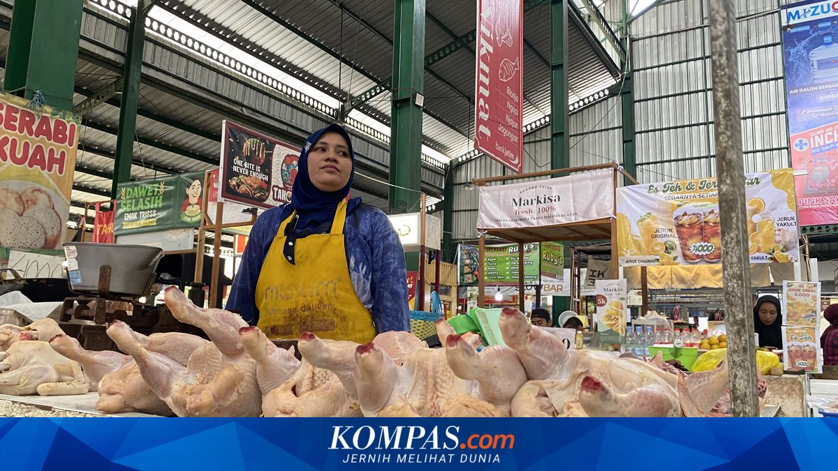 Harga Ayam Berbeda Jauh di Jabar dan Sumut, Ekonom Soroti Rantai Pasok