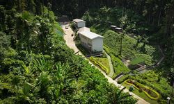 Lindungi Flora dan Fauna Endemik Halmahera, IWIP Resmikan 'Sanctuary Park'