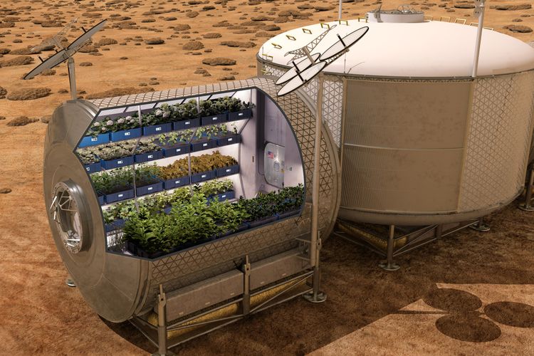 NASA berencana untuk menumbuhkan makanan di pesawat ruang angkasa masa depan dan di planet lain sebagai suplemen makanan untuk astronot. Makanan segar, seperti sayuran, menyediakan vitamin dan nutrisi penting yang akan membantu memungkinkan perintis ruang angkasa yang berkelanjutan.
