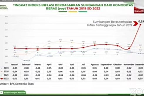 Bapanas Proyeksikan Indonesia Bakal Defisit Beras 9 Bulan di 2023