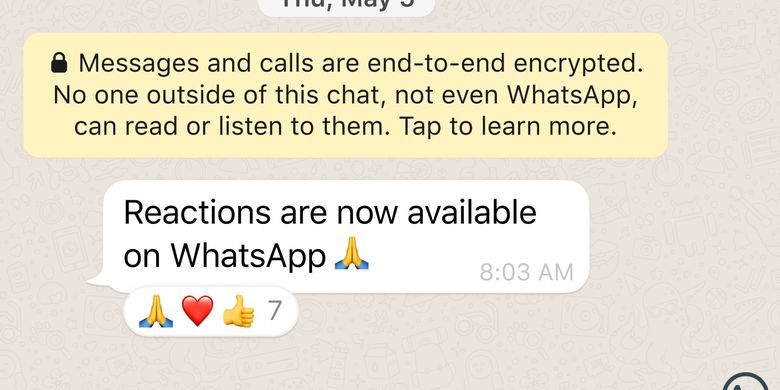 Hmmm, Cara Menggunakan Fitur WhatsApp Reactions, Beri Emoji di Chat Pribadi atau Grup