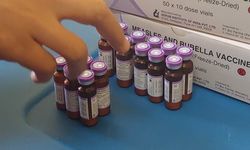 Cegah Penularan Meluas, 102 Kabupaten/Kota Gelar Imunisasi Kejar Campak