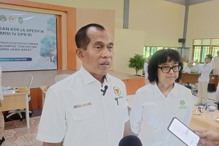 Hadapi Dampak Konflik Iran dan Israel-AS, DPR Optimis Indonesia Bisa Survive di Sektor Pangan