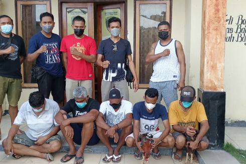 Polisi Gerebek Judi Sabung Ayam, 2 PNS dan Seorang Nelayan di Sumba Timur Jadi Tersangka