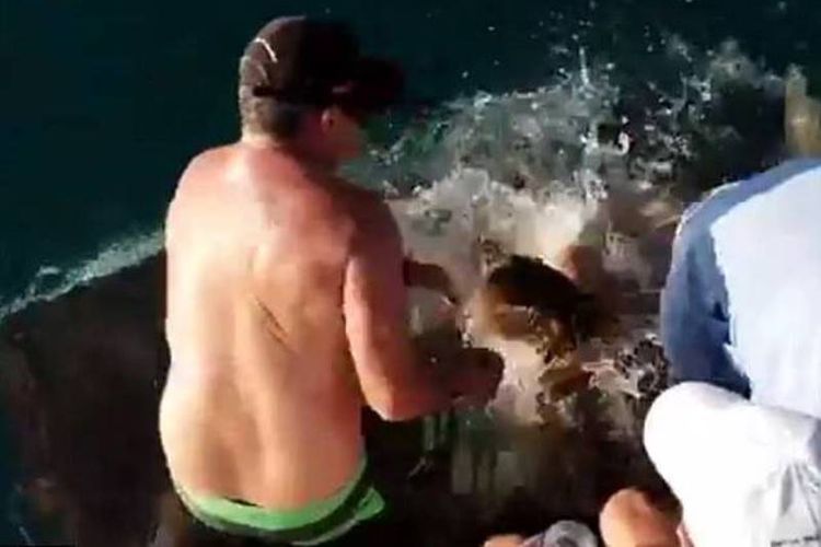 Potongan gambar dari rekaman detik-detik Melissa Brunning ditarik hiu ke dalam air saat memberi makan hewan tersebut. (7 News via Daily Mail)