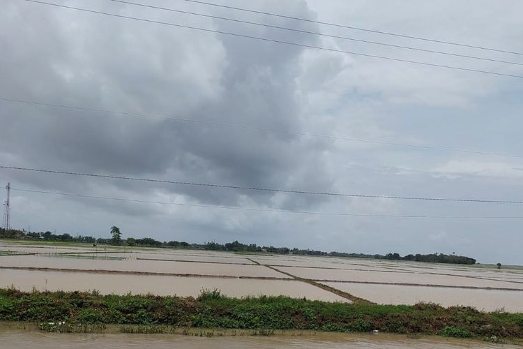 Persawahan di Kecamatan Cilamaya Kulon, Karawang, Jawa Barat terendam banjir pada Senin (27/2/2023).