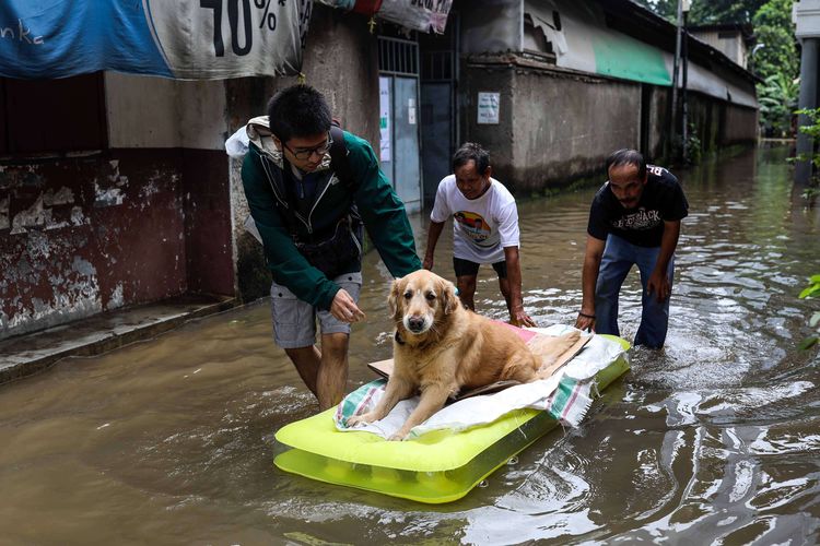 Warga menggunakan karet perahu membawa seekor anjing untuk menggungsi saat banjir di Karet Sawah 2, Kelurahan Karet, Semanggi, Jakarta Selatan, Selasa (25/2/2020). Hujan deras sejak Senin dini hari membuat sejumlah daerah di Ibu Kota tergenang banjir.