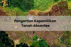 Pengertian Kepemilikan Tanah Absentee