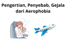 Pengertian, Penyebab, Gejala dari Aerophobia