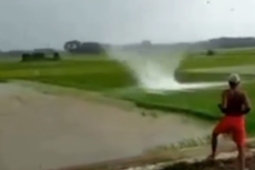 Viral, Video Angin Berputar di Tengah Sawah, Angin Apa Itu? Ini Penjelasan BPBD dan BMKG