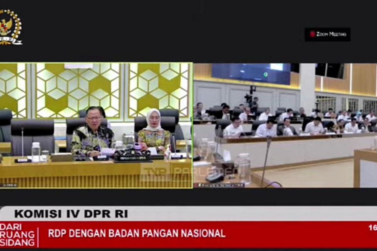 Ketua komisi IV Sudin saat Rapat Dengar Pendapat dengan Badan Pangan Nasional di Jakarta, Senin (4/9/2023).