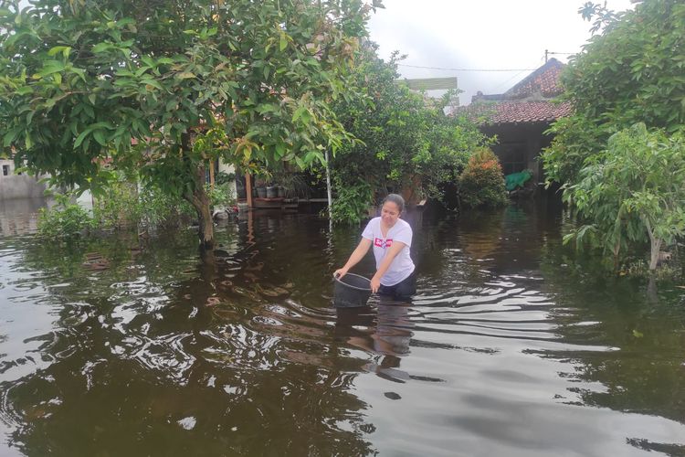 Banjir Demak Meluas di 3 Kecamatan, 2.718 Rumah Tergenang, seperti Apa Kondisinya?