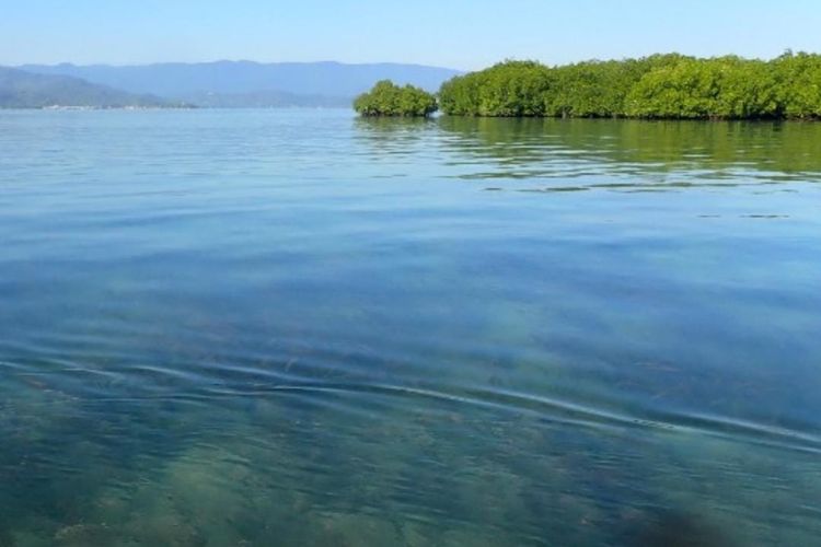 Tampak Pulau Panjang yang dipotret dari pulau Bungin Sumbawa. Pulau ini dijual di situs online luar negeri yang membuat bupati Sumbawa kaget.