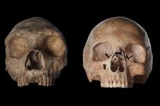 Beda Spesies, Manusia Modern dan Neanderthal Kawin Mawin di Eropa