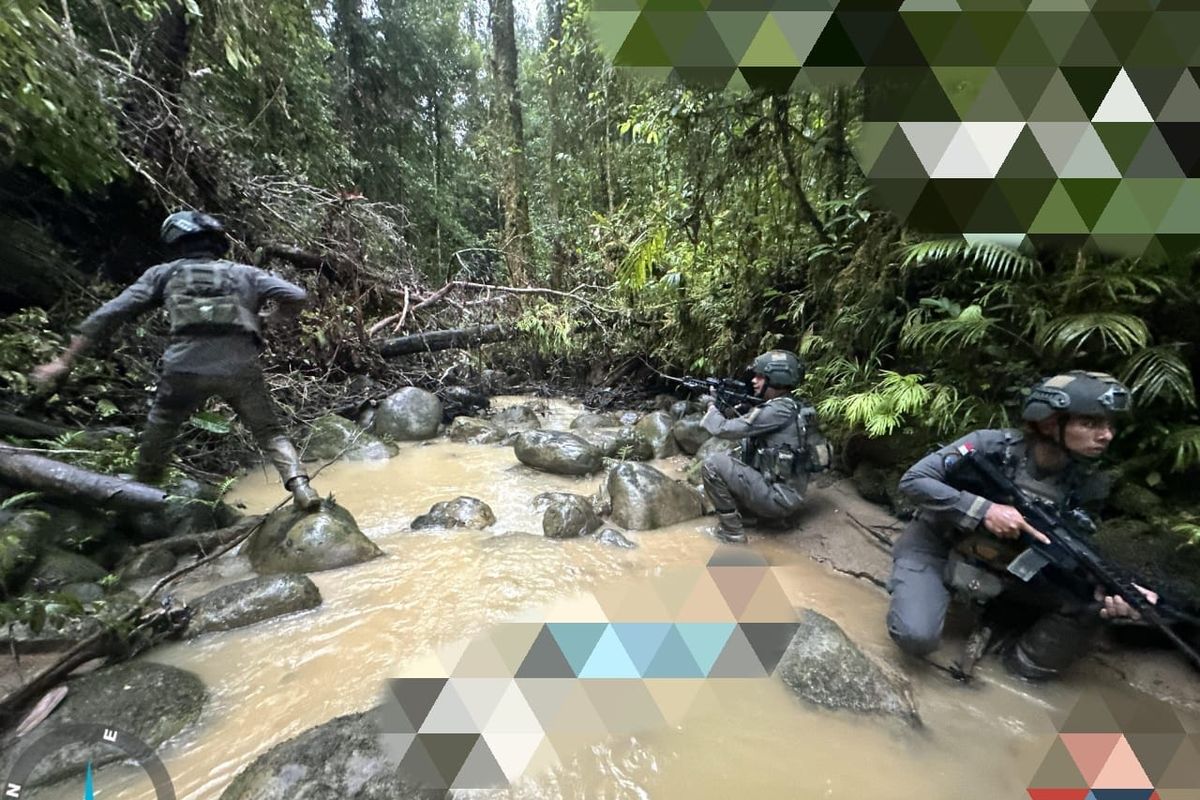 11 Pendulang Emas Tewas Dibantai KKB di Papua, Semua Jenazah Ditemukan