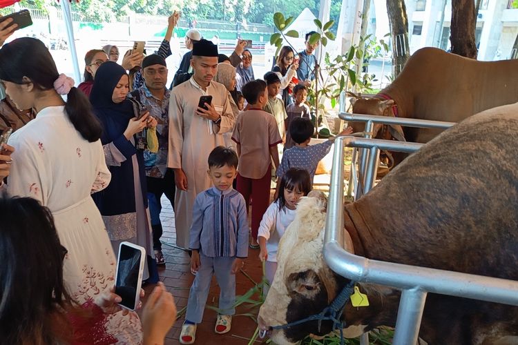 Sapi Prabowo-Gibran Jadi “Bintang” di Halaman Belakang Istiqlal