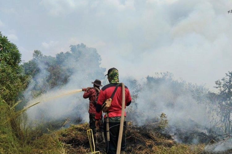 BPBD Sumsel Catat Rekor 12.748 Hotspot di Agustus 2026, Tertinggi Sejak 2015