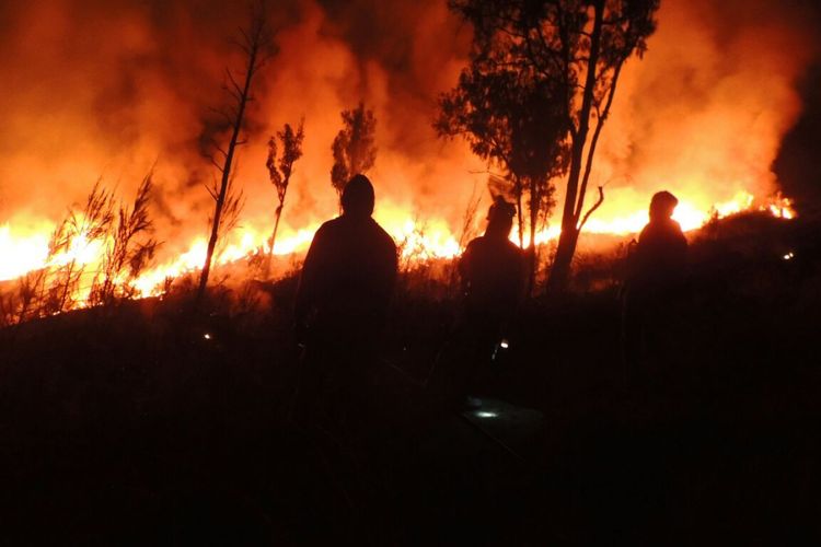 Petugas TNGR dan masyarakat berupaya memadamkan api di jalur pendakian Rinjani, Selasa (22/8/2017).