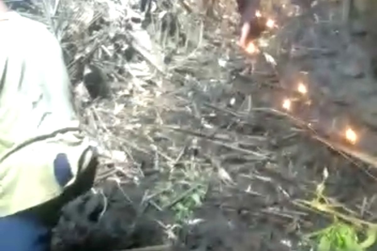 Warga menata daun kering yang tadi dibawa dari atas, untuk dibakae dalam jurang Curug Watu Segandul di Pedukuhan Nglambur, Kalurahan Sidoharjo, Kapanewon Samigaluh, Kabupaten Kulon Progo, Daerah Istimewa Yogyakarta. Daun kering dibakar untuk menciptakan asap yang bisa menjatuhkan kelelawar dalam lorong jurang. Kelelawar dikumpulkan untuk disantap. Ini tradisi warga pada musim kering sejak puluhan tahun lalu. Gambar merupakan tangkapan layar dari video kegiatan warga Nglambur.