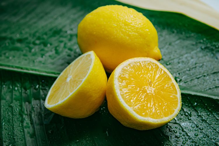 Ilustrasi jeruk lemon.