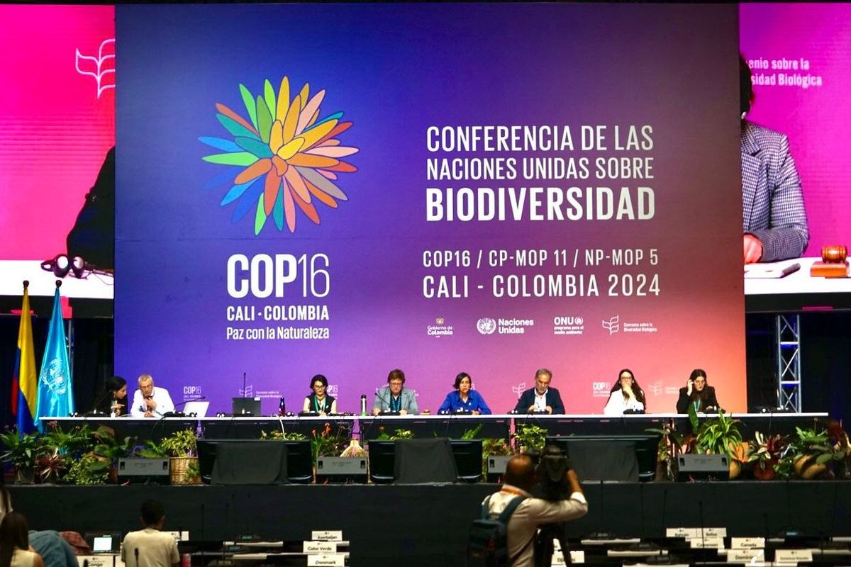 Suasana salah satu pertemuan dalam KTT Keanekaragaman Hayati COP16 di Cali, Kolombia. COP16 berlangsung mulai 21 Oktober sampai 1 November 2024.