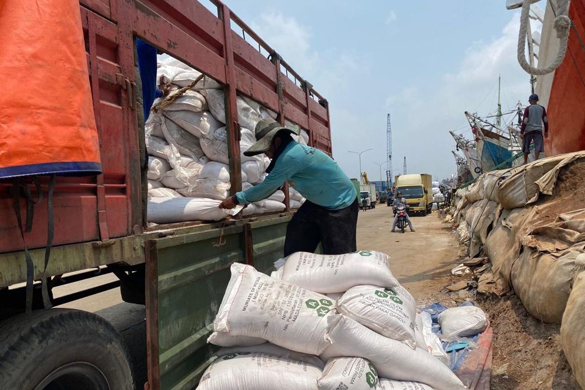 Seorang kuli angkut di Pelabuhan Sunda Kelapa, Jakarta Utara tengah mengangkut muatan pupuk dari truk besar pada Senin (13/3/2023). Mereka rela bekerja sepagi mungkin demi mendapatkan upah yang besar. 