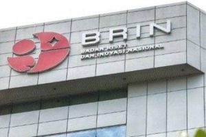 Inovasi Bobibos: Jerami Jadi Bahan Bakar, Fakta atau Mitos?