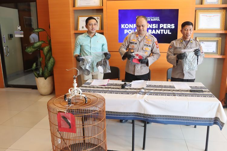 Demi Hobi Koleksi Burung Mahal, Pria di Bantul Nekat Curi Murai Batu Rp 10 Juta