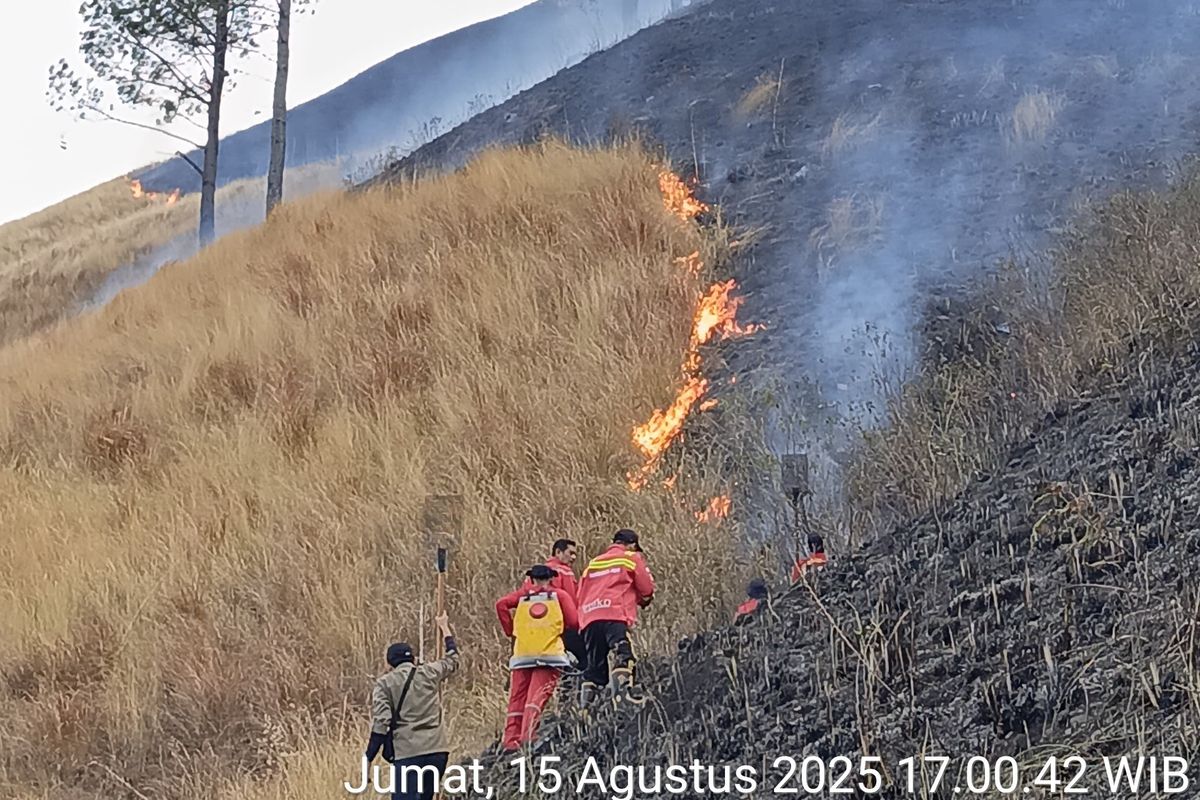 Petugas gabungan saat memadamkan api di kawasan hutan Danau Toba di Desa Tongging, Kecamatan Merek, Kabupaten Karo, Sumatera Utara, Jumat  (15/8/2025)