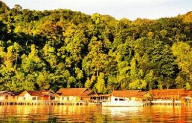 Derita Warga Waipia di Maluku, Terdampar di Tanah Leluhur ...