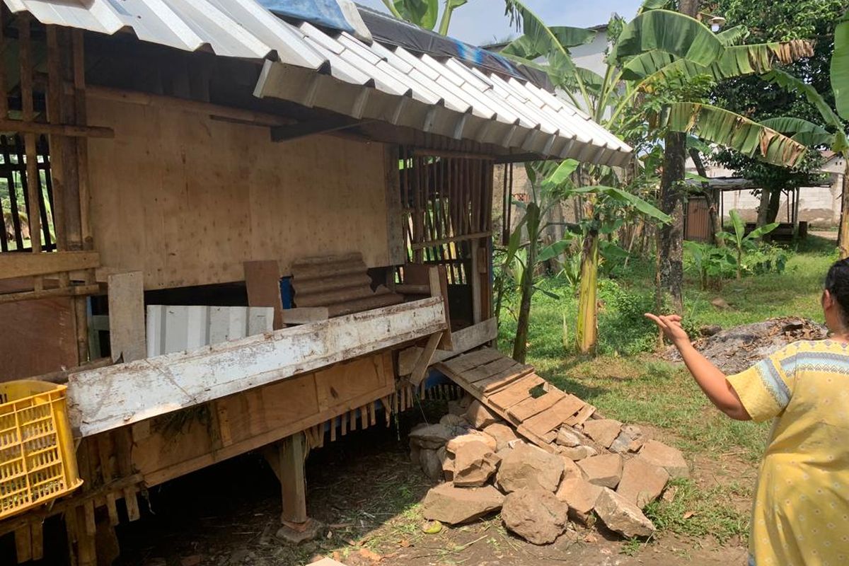 Suwarsih (35) pemilik rumah menunjukkan kandang kambingnya yang telah kosong, Rabu (7/6/2023). Lima ekor kambing Suwarsih dicuri, pelaku mengambil daging dan hanya menyisakan jeroan.