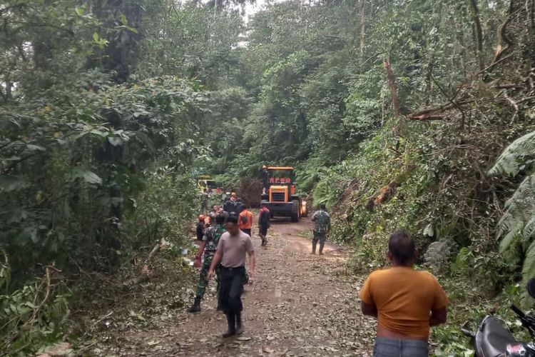 Pohon tumbang menutup jalur Lumajang - Malang via Ranupane, Senin (6/2/2023).