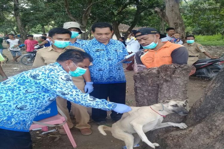 Petugas saat memberikan vaksinasi anjing untuk mencegah penyebaran virus rabies