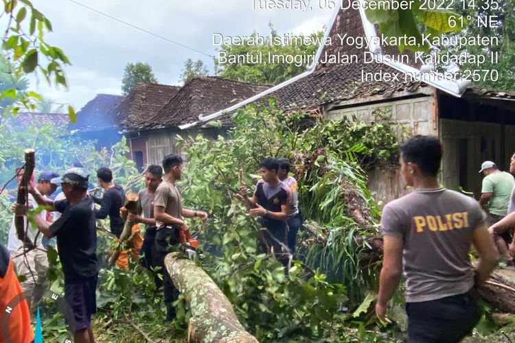 Petugas gabungan membersihkan pohon yang tumbang akibat angin puting beliung di Imogiri, Bantul, DI Yogyakarta Selasa (6/12/2022)