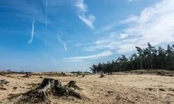 Alih Fungsi Lahan Tingkatkan Risiko Penyakit Menular dari Hewan ke Manusia